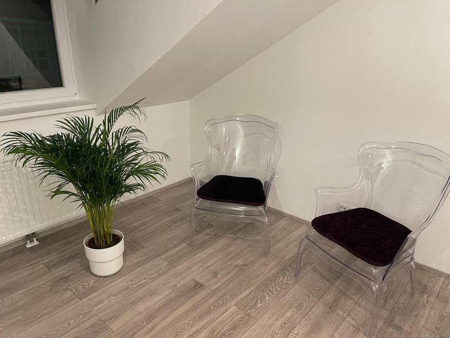Апартаменти Dachterrasse Fuer 4 Personen Відень Екстер'єр фото